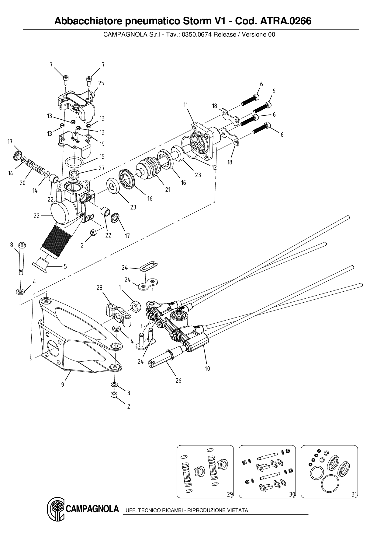 ATRA.0266_Abbacchiatore pneumatico Storm V1